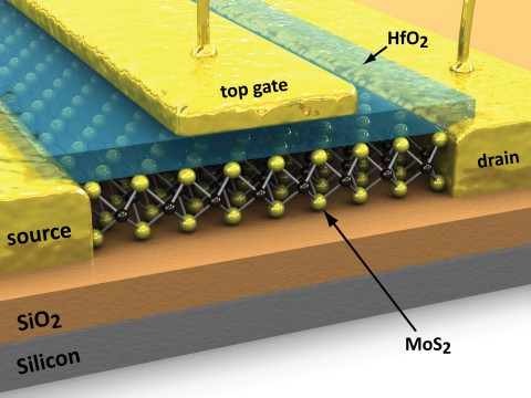 Der gesamte MOS2-Transistor (Bild: ETH Lausanne)