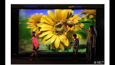 Menschen vor dem 200-Zoll-Display (Bild: NICT)