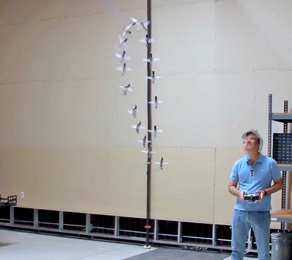 Die Drohne fliegt wie ein Vogel. (Foto: Aerovironment)