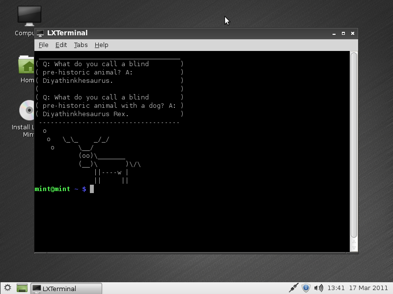 Das LXTerminal mit einem "Comic" als Easter-Egg