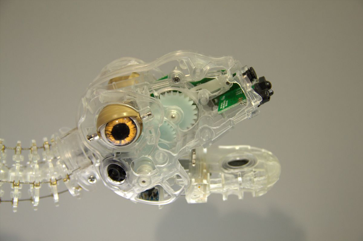 ... wie etwa ein RFID-Leser im Unterkiefer. (Foto: wp)