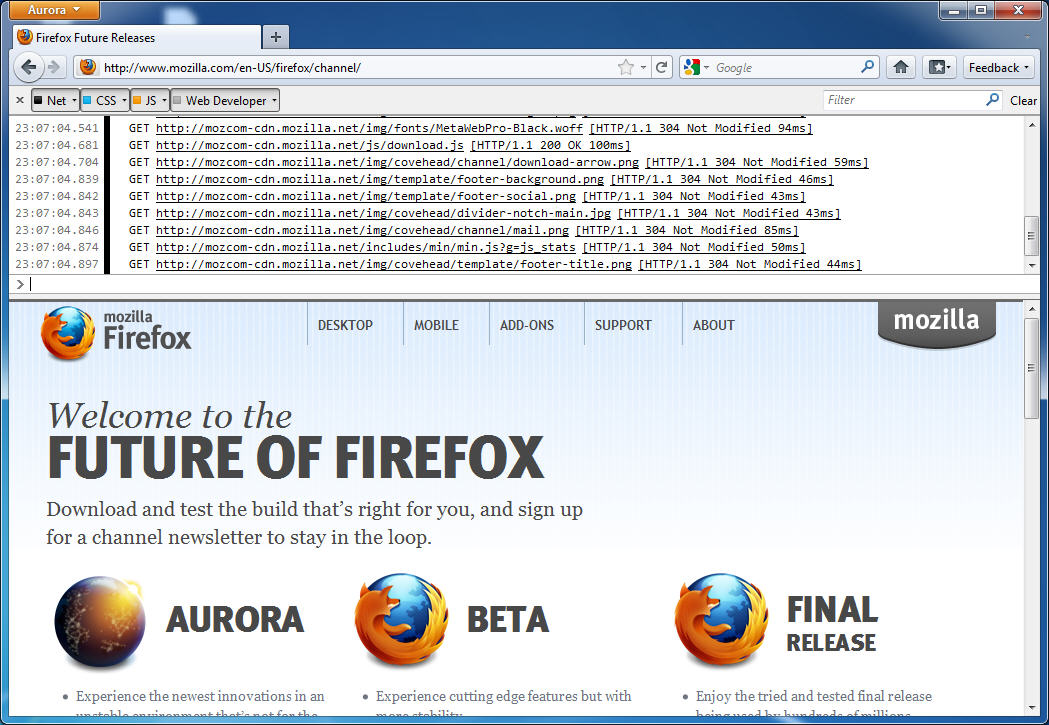 Webdeveloper in Firefox 5.0a2