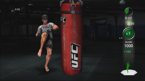UFC Personal Trainer