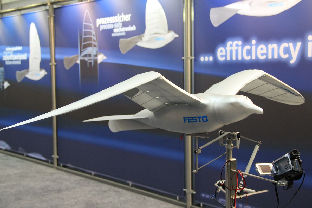 Flugroboter nach dem Vorbild einer Möwe: Smart Bird (Foto: wp)