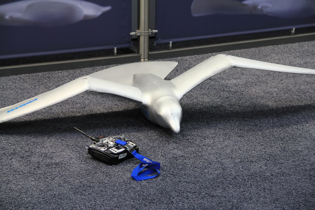 Noch liegt der am Boden, ... (Foto: wp)