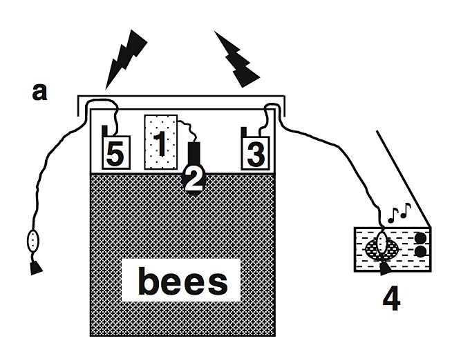 Versuchsaufbau schematisiert  (aus: Mobile phone-induced honeybee worker pipingDaniel Favre - Creative Commons Attribution Noncommercial License)