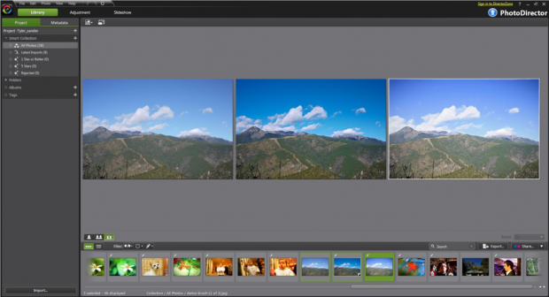 Photodirector 2011 - Darstellung Bildvergleich (Bild: Cyberlink)
