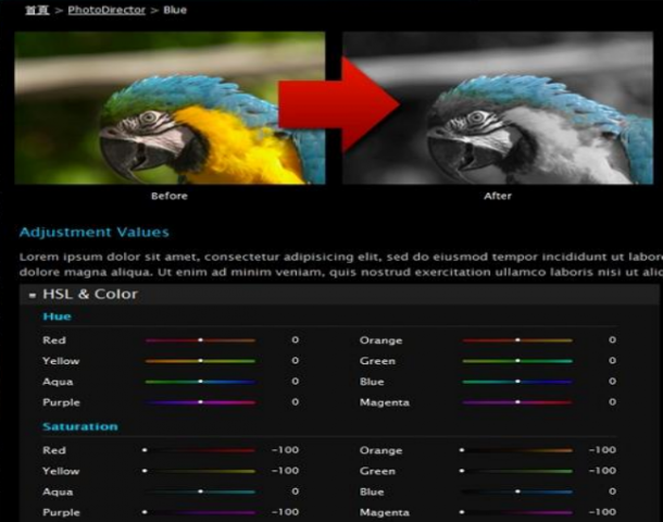 Photodirector 2011 Bearbeitungsschritte als Present (Bild: Cyberlink)
