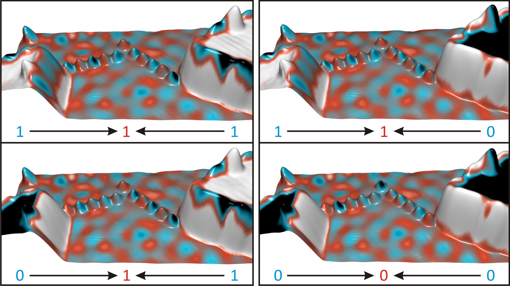 Bilder des Spintronik-Logikgatters, das mit der Nadel eines spinsensitiven Rastertunnelmikroskops ausgelesen wurde. Es handelt sich bei dem Bauteil um ein Oder-Gatter, d. h., zeigt der Spin von beiden Eingabe-Inseln nach unten (D), dann zeigt auch der Spin des Ausgabeatoms nach unten (blau). Zeigen die Spins einer oder beider Inseln nach oben (A-C), so wird auch der Spin des Ausgabeatoms nach oben ausgerichtet (rot). [Quelle: A. A. Khajetoorians, J. Wiebe, Universität Hamburg]
