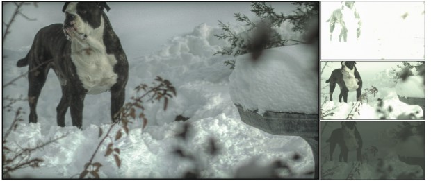 HDR-Video und Einzelbilder (Bild: Contrast Optical Design & Engineering)