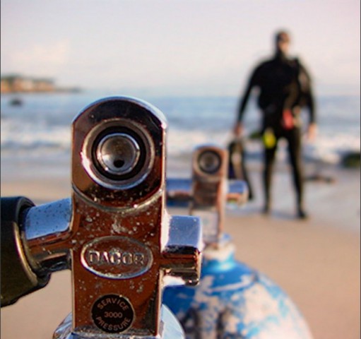 Foto mit Lytro-Kamera (Quelle: Lytro/Jason Bradley)