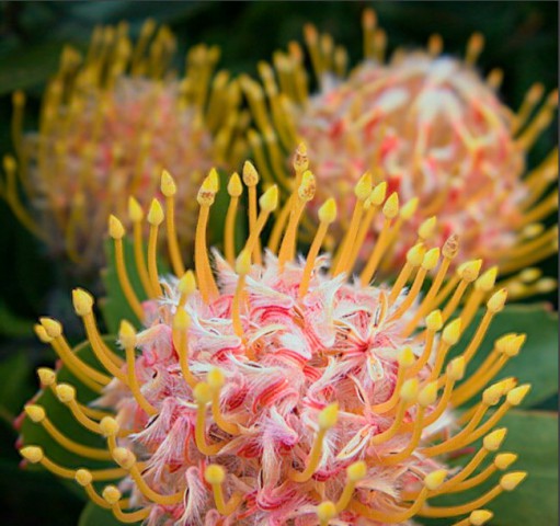 Foto mit Lytro-Kamera (Quelle: Lytro/Jason Bradley)