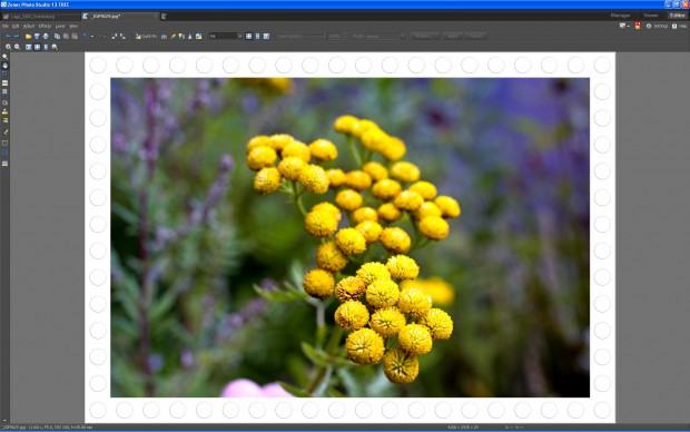 Zoner Photo Studio Free 13 - Rahmenfunktion (Bild: Andreas Donath)