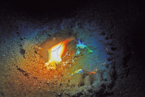 Nahaufnahme des schmelzenden Sandes (Bild: Amos Field Reid)<br>