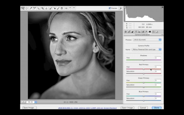 Pskiss Skin & Scenery Color Effekt Lippenbetonung angewandt (Bild:Pskiss)