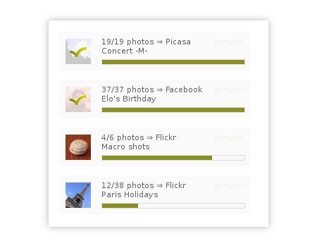Paralleler Upload zu mehreren Anbietern (Bild: Pictarine)