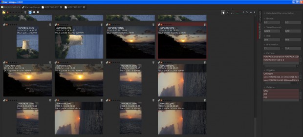 Raw Therapee - Bildverwaltung und Filterfunktionen (Foto: Andreas Donath)