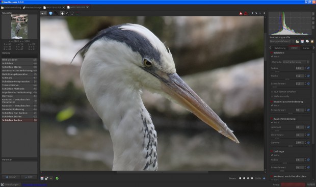 Raw Therapee - Schärfungsfunktion und Rauschreduktion (Foto: Andreas Donath)