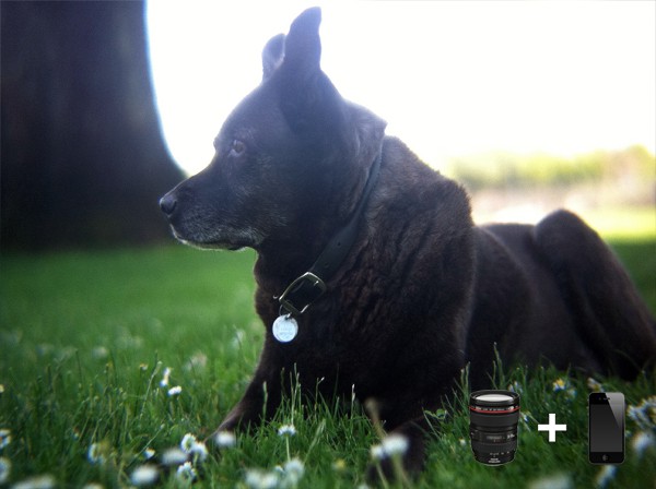 SLR-Mount - Beispielfoto (Bild: Photojojo)