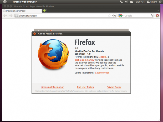 Firefox liegt in der aktuellen Version 5 bei.