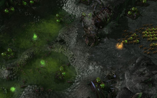 Starcraft 2: Heart of the Swarm