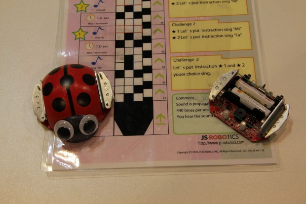 Der Ladybug Robot mit Programmkarte (Foto: Werner Pluta)