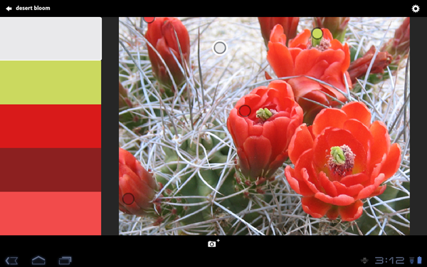 Adobe Kuler (Bild: Adobe)