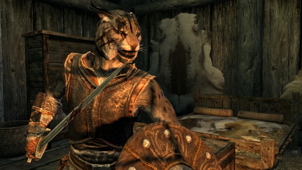 The Elder Scrolls 5: Skyrim