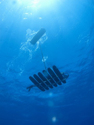 Besonders schnell ist ein Wave Glider nicht. (Foto: Liquid Robotics)