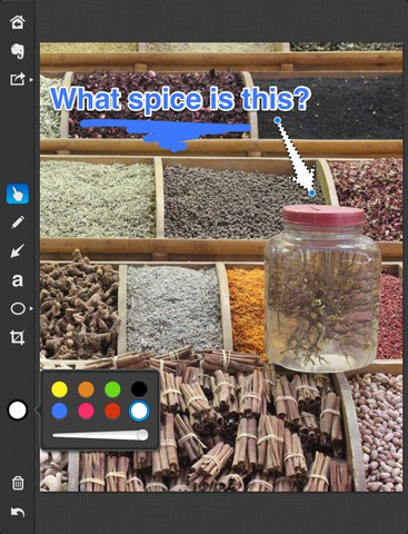 Skitch auf dem iPad (Bild: Evernote)