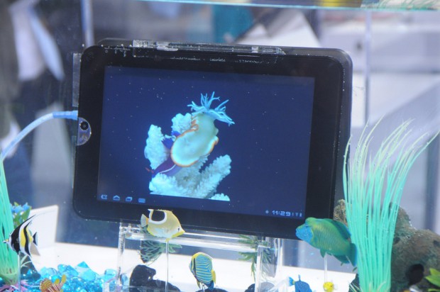 Es wurde allerdings nur im Becken gezeigt...