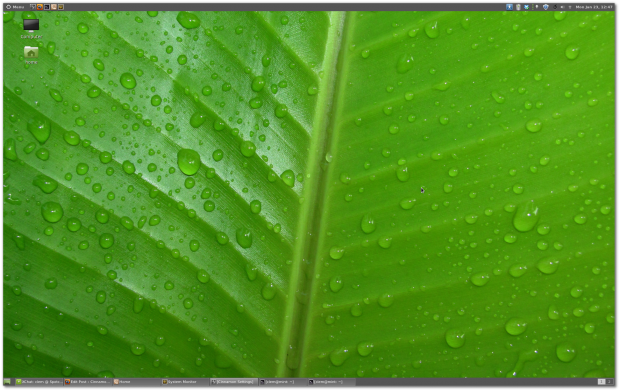 Die Arbeitsfläche mit geteiltem Menü