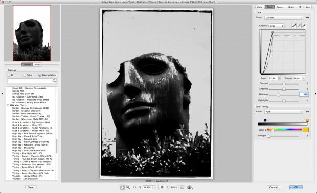 Alien Skin Exposure 4 - Kodak Tri-X 400 mit Staub und Kratzern (Bild: Andreas Donath)