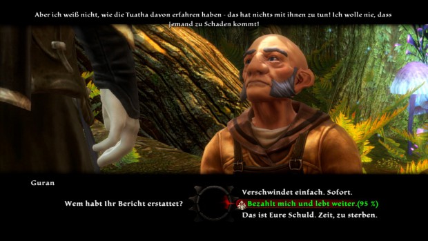 Kingdoms of Amalur: Reckoning (Screenshot: Golem.de)