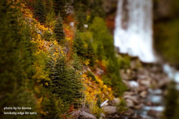 Selektive Schärfe mit dem Lensbaby Edge 80 (Bild: Lensbaby/Liz Devine)