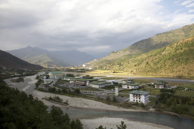 Eigentlich sieht Paro (VQPR) so aus. (Foto: Jens Ihlenfeld)