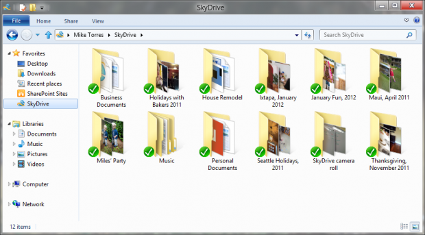 Skydrive in Windows 8 - Bildsynchronisation eines Albums (Bild: Microsoft)