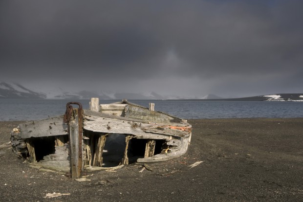Die subantarktischen Inseln eignen sich besonders gut für Cloud-Zentren. (Bild: Martin Bureau/AFP/Getty Images)