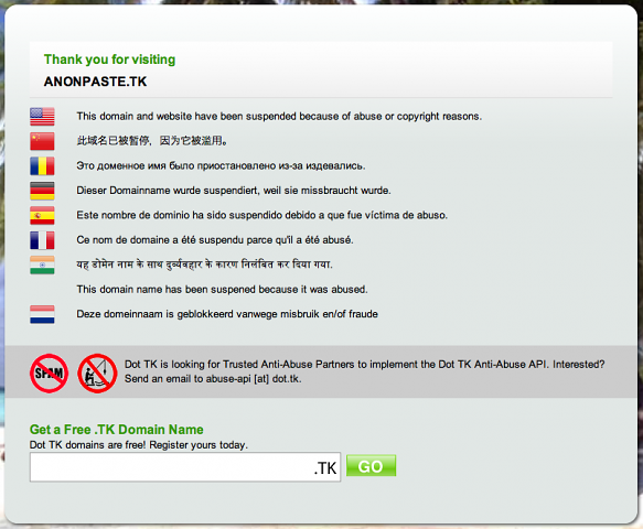 Anonpaste.tk - kein Anonpaste mehr, nur noch ein unspezifischer Hinweis auf Missbrauch oder Urheberrechtsgründe (Screenshot: Golem.de)
