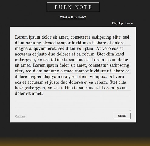Eingabefeld von Burnnote (Screenshot: Golem.de)