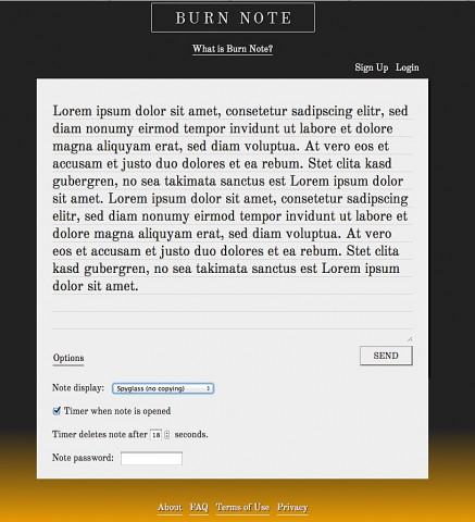 Versandoptionen in Burnnote (Screenshot: Golem.de)