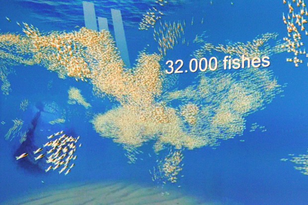 Ein Schwarm von 32.000 Fischen lässt sich per GPU simulieren.