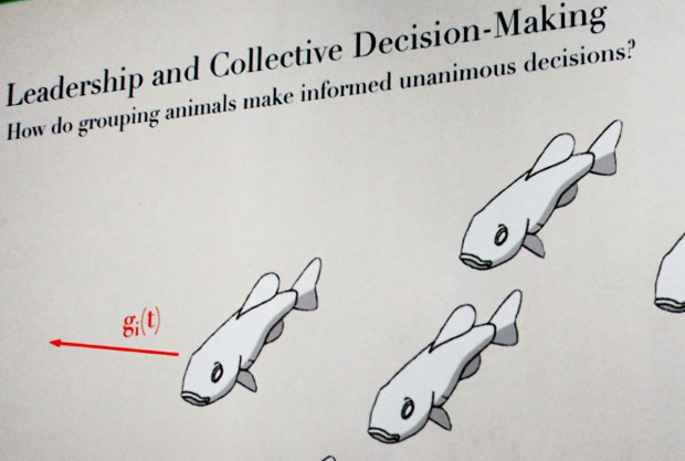 Der linke Fisch will weg - was tun die anderen?