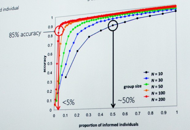 Je größer der Schwarm, desto weniger Informationsträger sind im Verhältnis nötig.