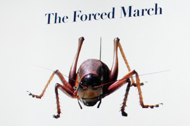 Ein Gewaltmarsch, der durch Artgenossen erzwungen wird