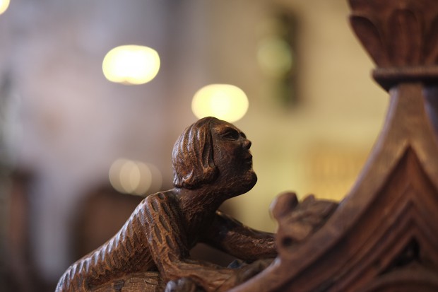 Das schöne Bokeh des XF60mm F2.4 R Macro ermöglicht das Freistellen von Objekten. (Bild: Andreas Donath)