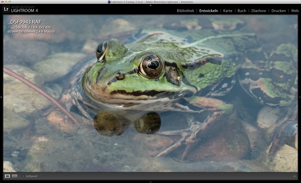 1:1-Ausschnitt des "XF60mm F2.4 R Macro" (Bild: Andreas Donath)