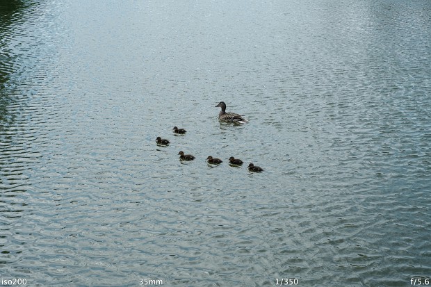 Fujifilm Finepix X-Pro1 (Bild: Andreas Donath)