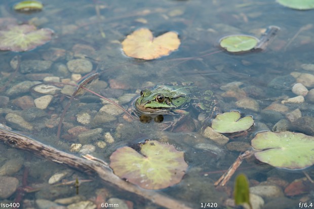 Fujifilm Finepix X-Pro1 (Bild: Andreas Donath)