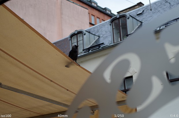 Das Pentax sms DA 40mm f/2.8 XS als Standardobjektiv für die K-01 bietet nur wenig Anlass zur Kritik. (Bild: Andreas Donath)